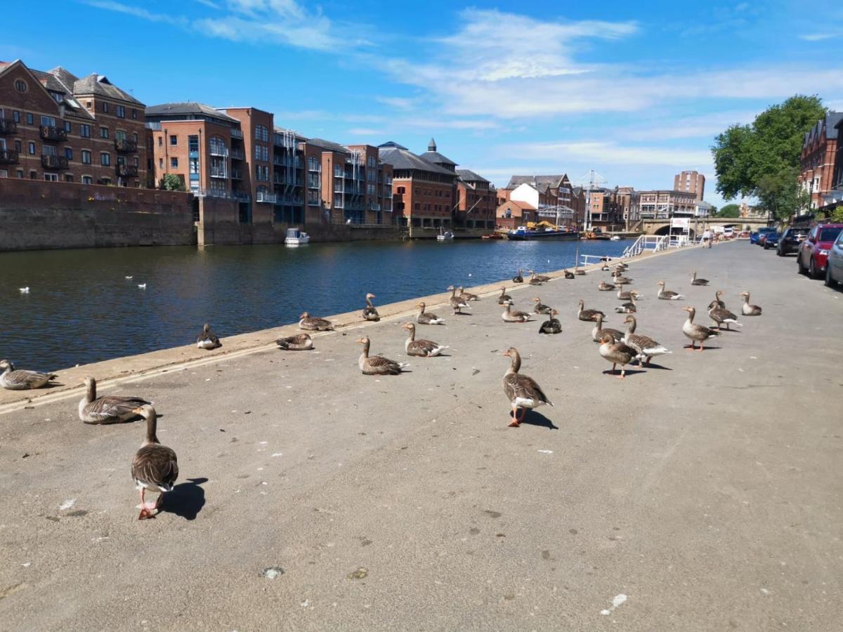Hartoft St - 2 Bed Near River York Luaran gambar